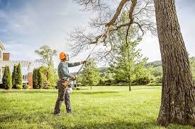 Why Choose Our Tree Removal Services in Mill Bay, AK?